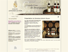 Tablet Screenshot of guyon-bourgogne.com